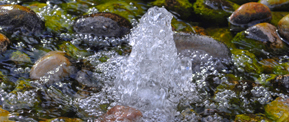 Bubblers